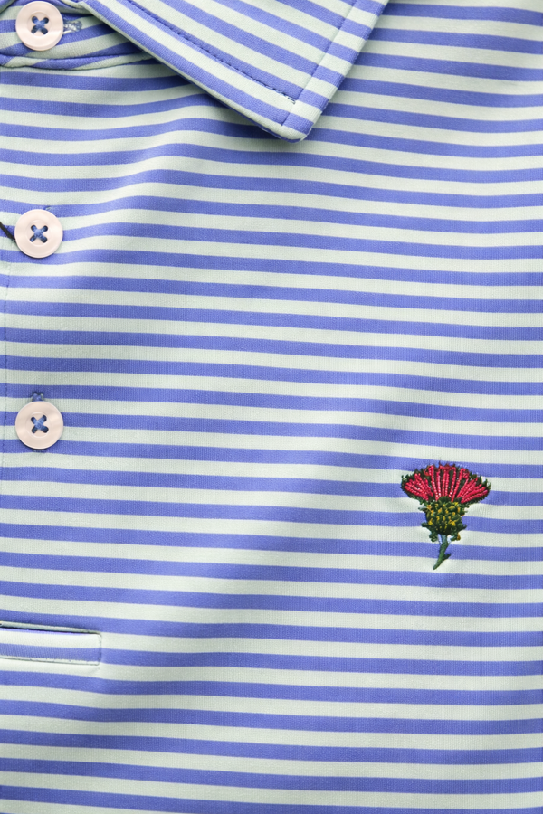 Harbor Light Stripe Polo