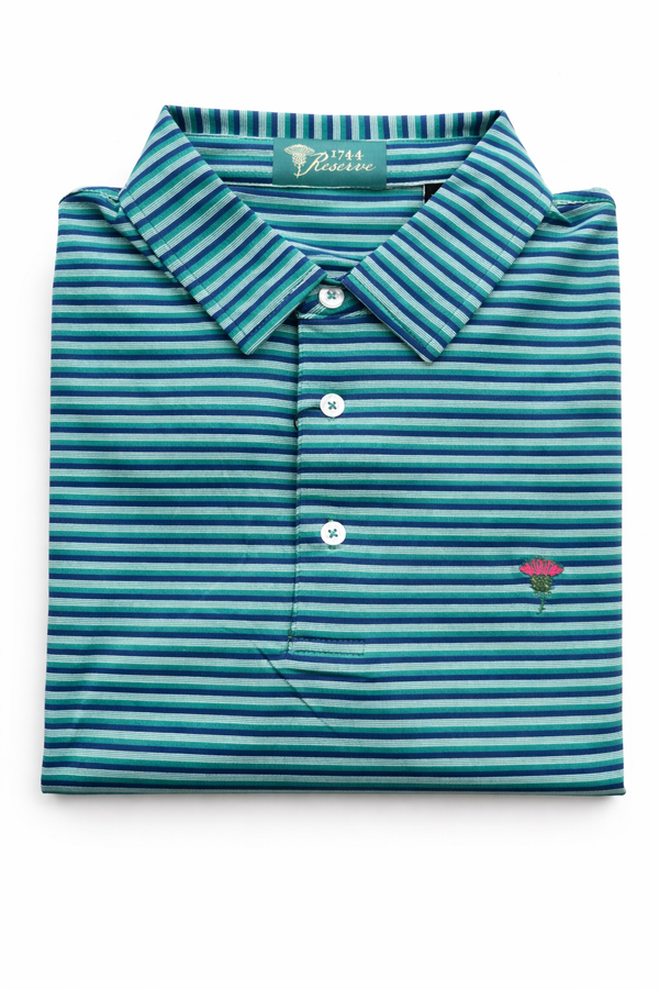 The Tidewater Stripe Polo
