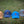 1744 5-Panel Canvas Hat Ft. Leather Thistle