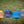 1744 5-Panel Canvas Hat Ft. Leather Thistle
