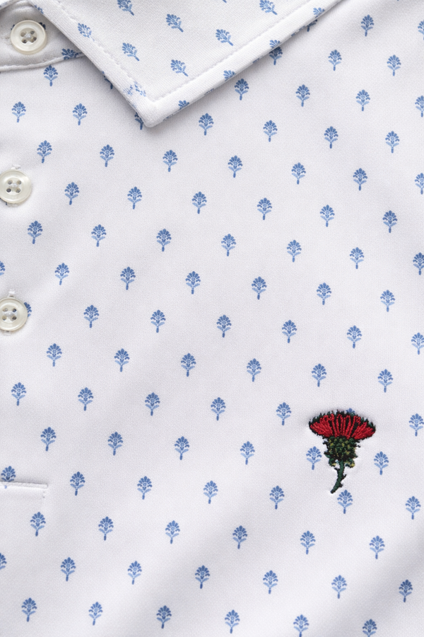 The Fairhaven Microprint Polo