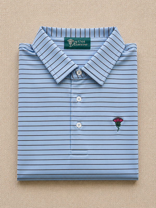 The Blue Ridge Stripe Polo