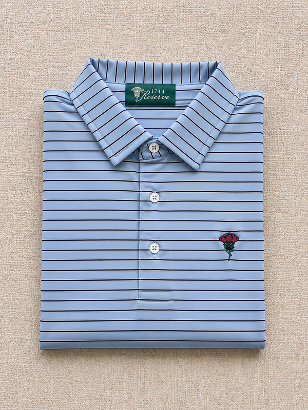 The Blue Ridge Stripe Polo