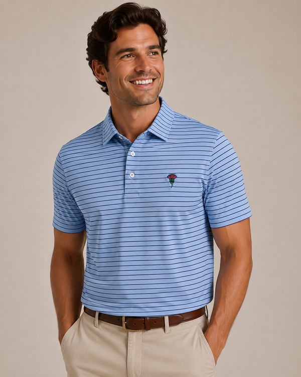 The Blue Ridge Stripe Polo