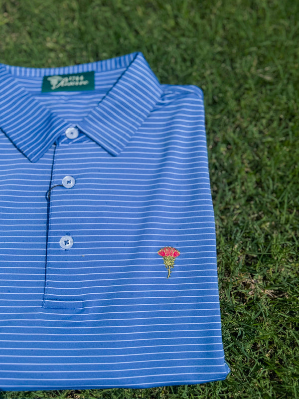 The St. Andrews Polo