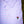 1744 Lilac Polo